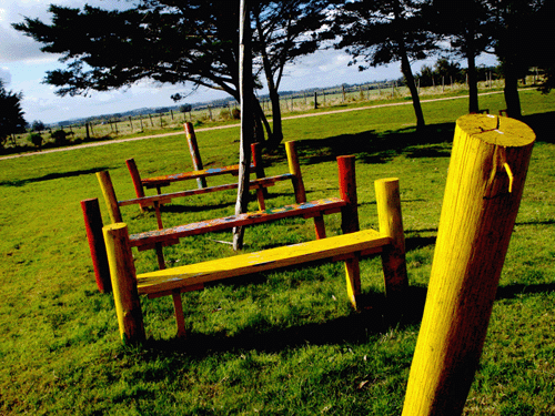 Sillas y Mesitas Para Niños